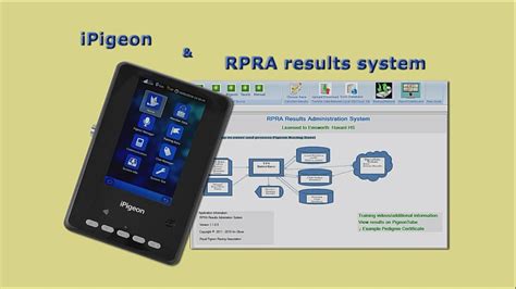 mavc pigeon clocking system result|IPigeon.